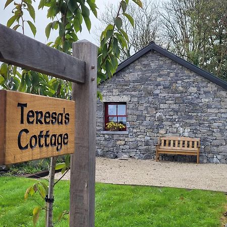Teresa'S Cottage Kilcolgan Екстериор снимка